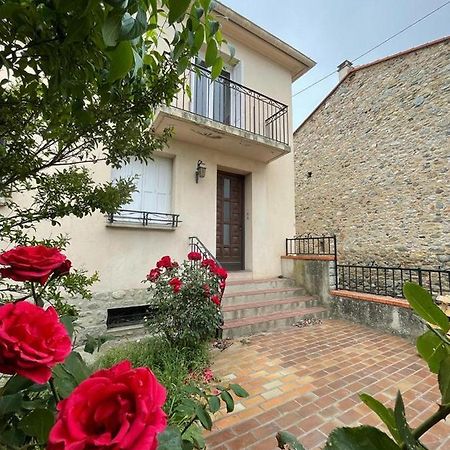 Lg Rite Appartement Avec Jardin Prades  Exterior foto