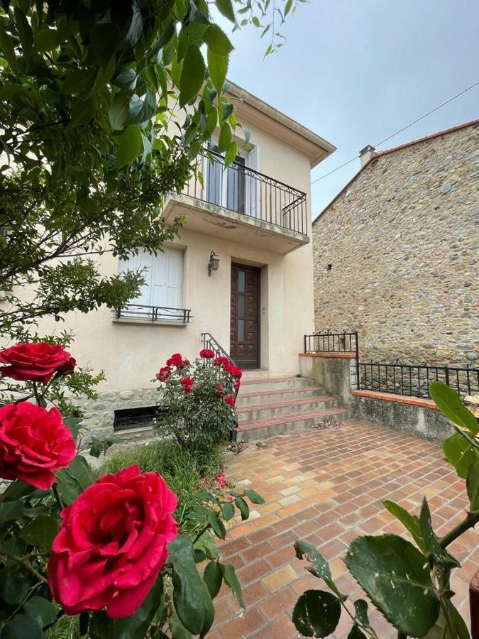 Lg Rite Appartement Avec Jardin Prades  Exterior foto